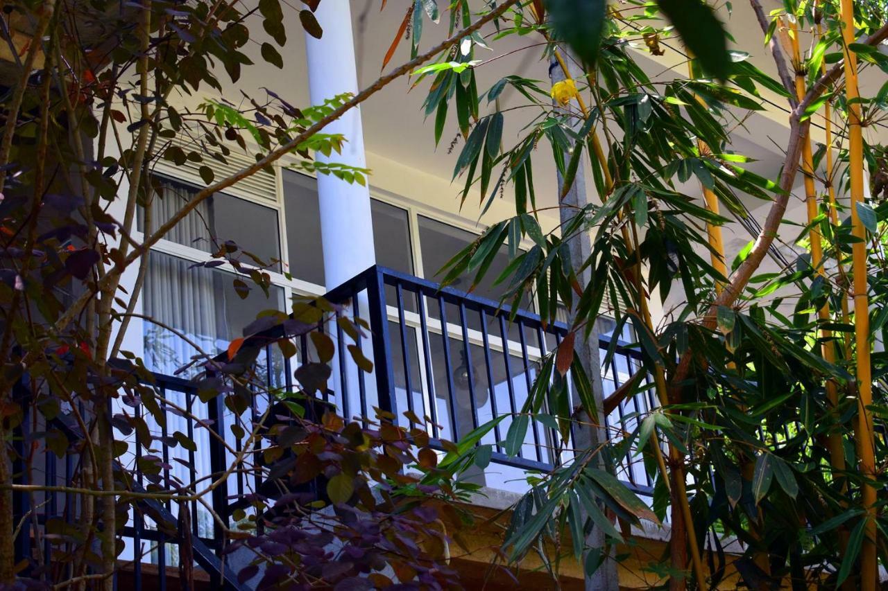 Raveena Guest House Ella Ngoại thất bức ảnh